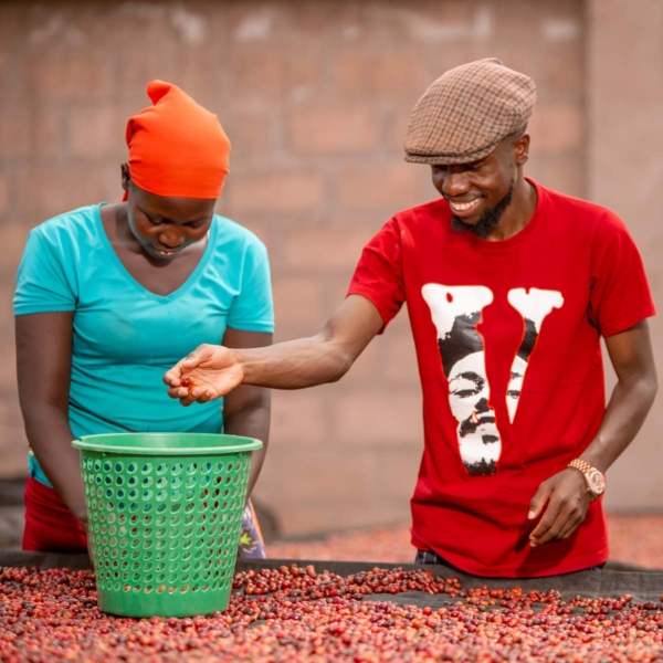 Caffè Uganda Bulambuli