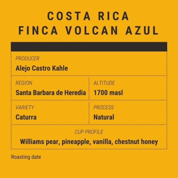caffè costarica volcan azul caturra